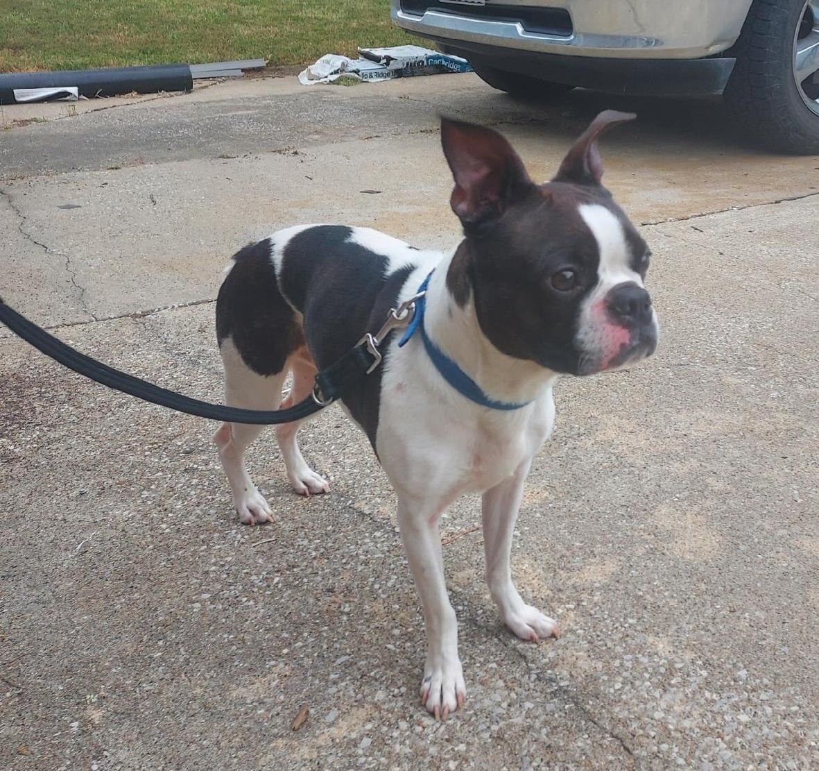 Cooper In Mo thumbnail 4
