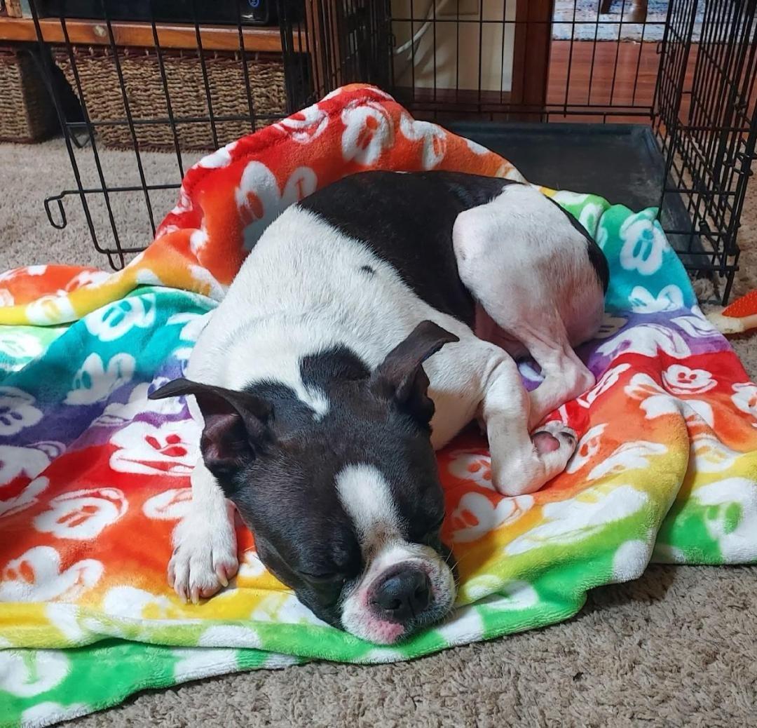 Cooper In Mo photo 1