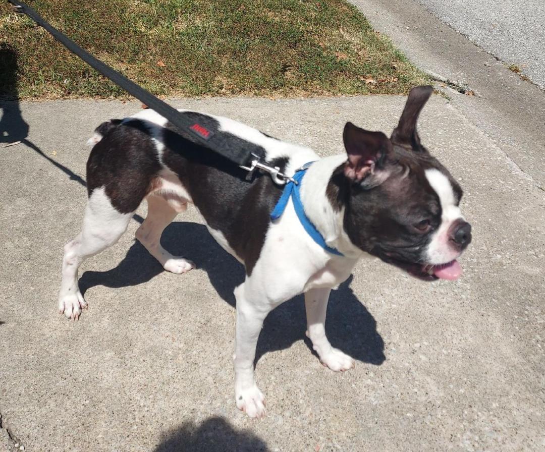 Cooper In Mo thumbnail 2