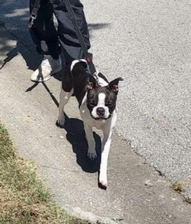 Cooper In Mo thumbnail 3