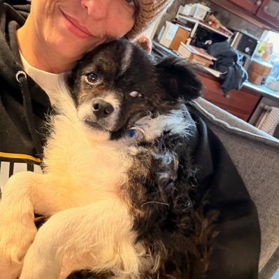 Ziggy — thumbnail 5