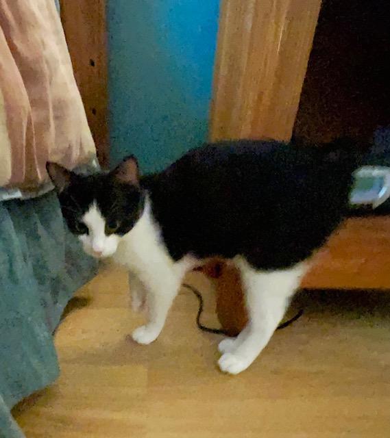 Sonny (Sonny and Cher Litter)