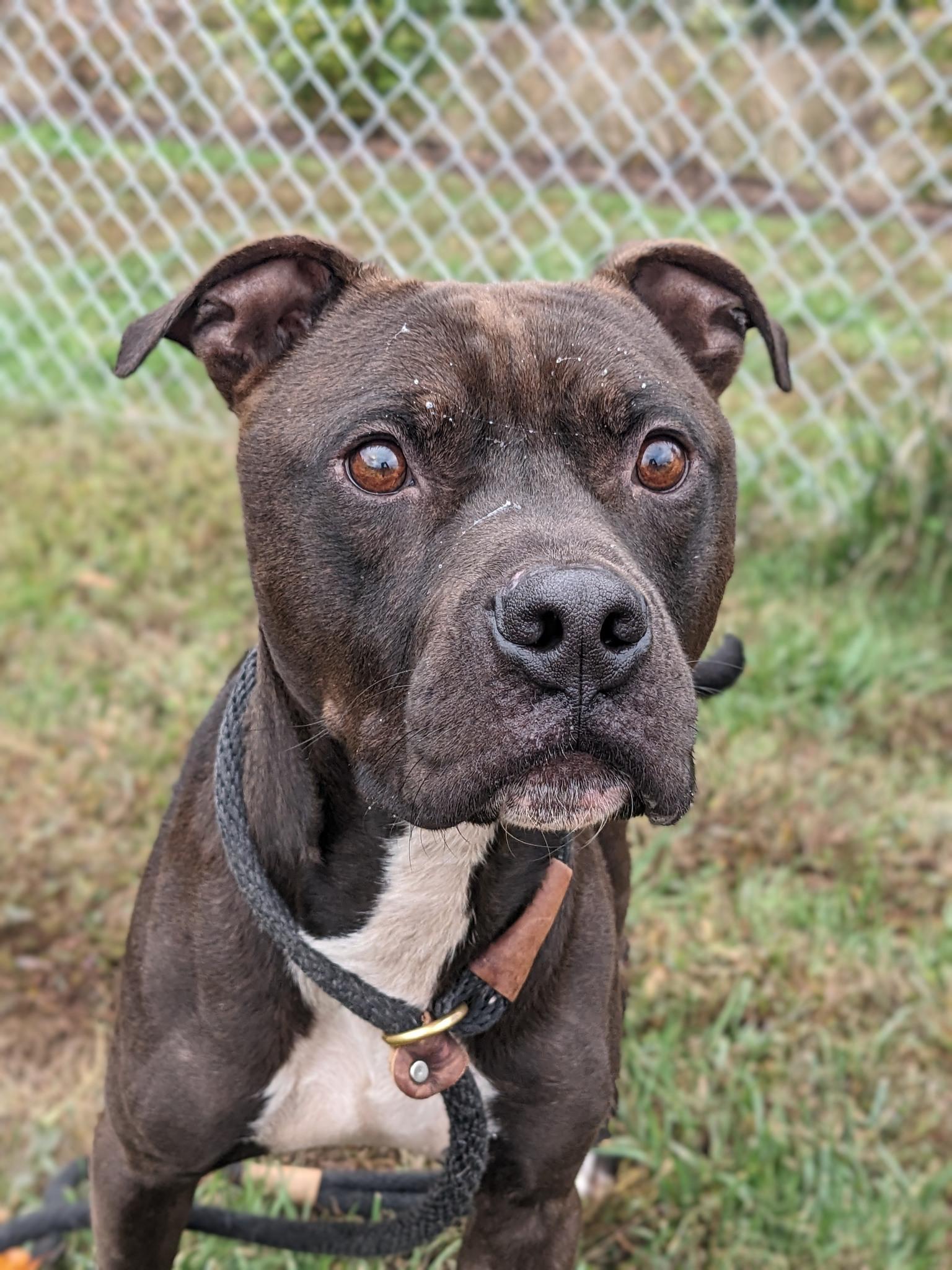 Rickie Riot (ID 48758/3446)