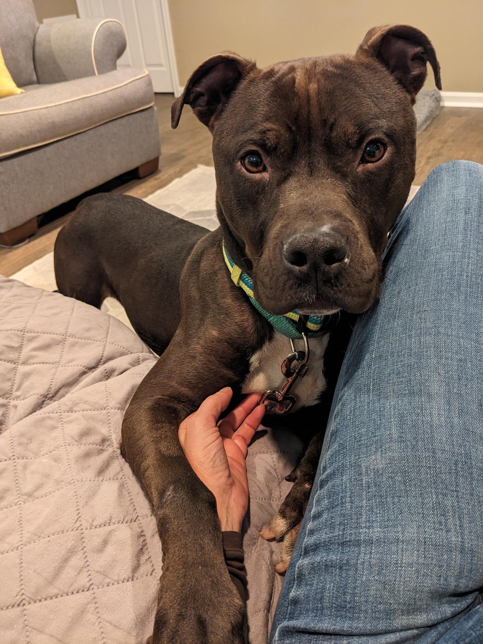 Rickie Riot (ID 48758/3446)