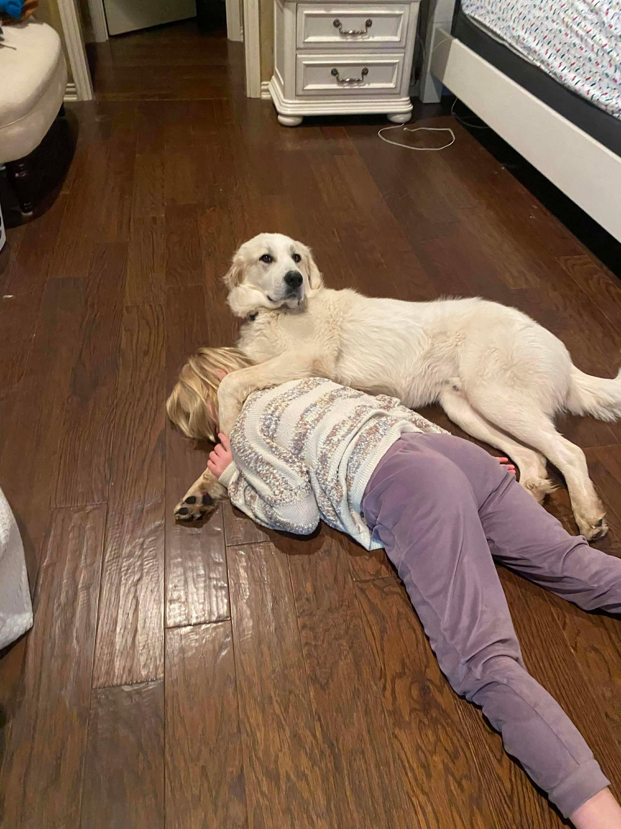 Enlarge Peaches, a Adoptable Great Pyrenees in New Baltimore, MI image 2/6
