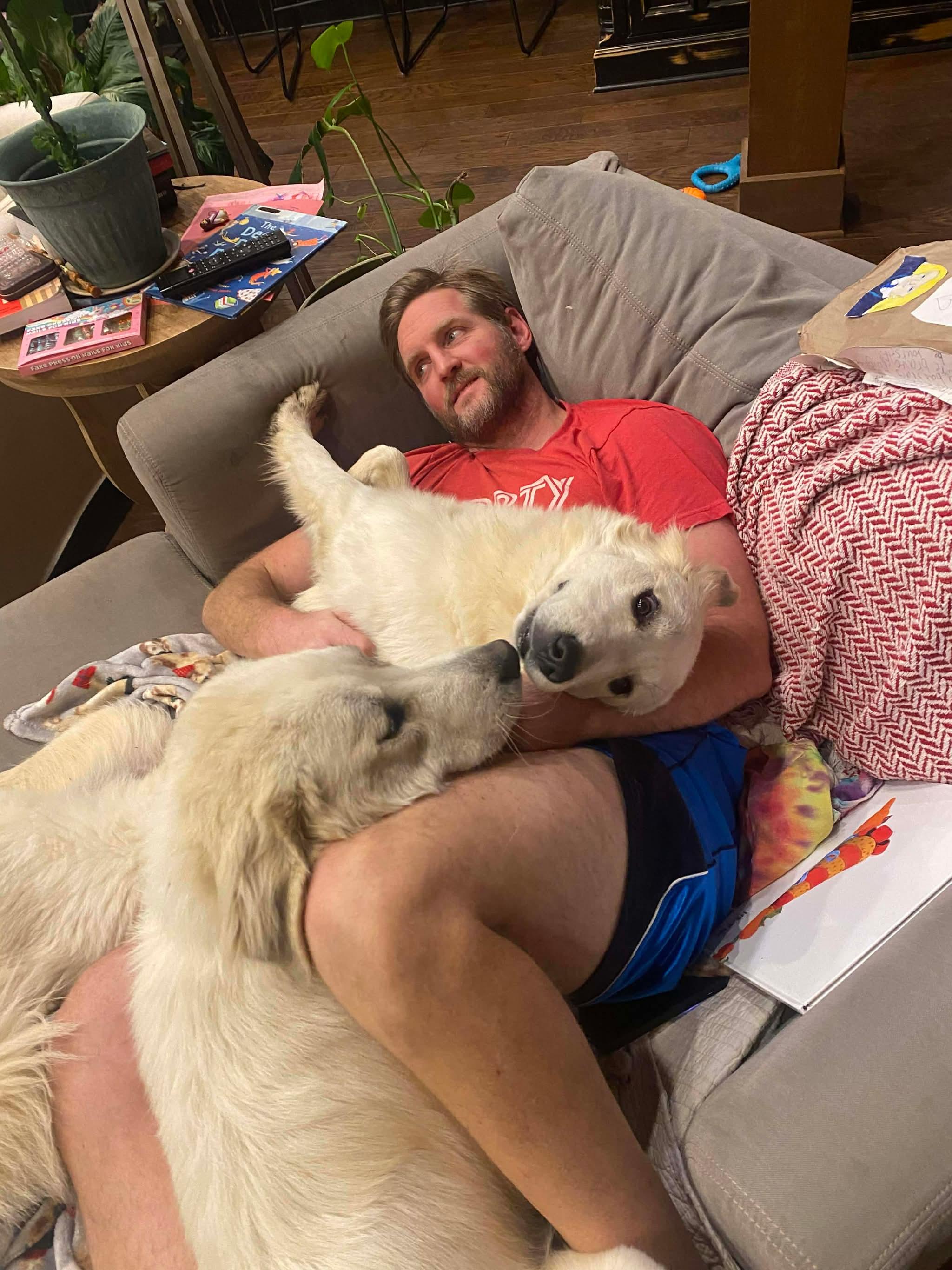 Enlarge Peaches, a Adoptable Great Pyrenees in New Baltimore, MI image 6/6