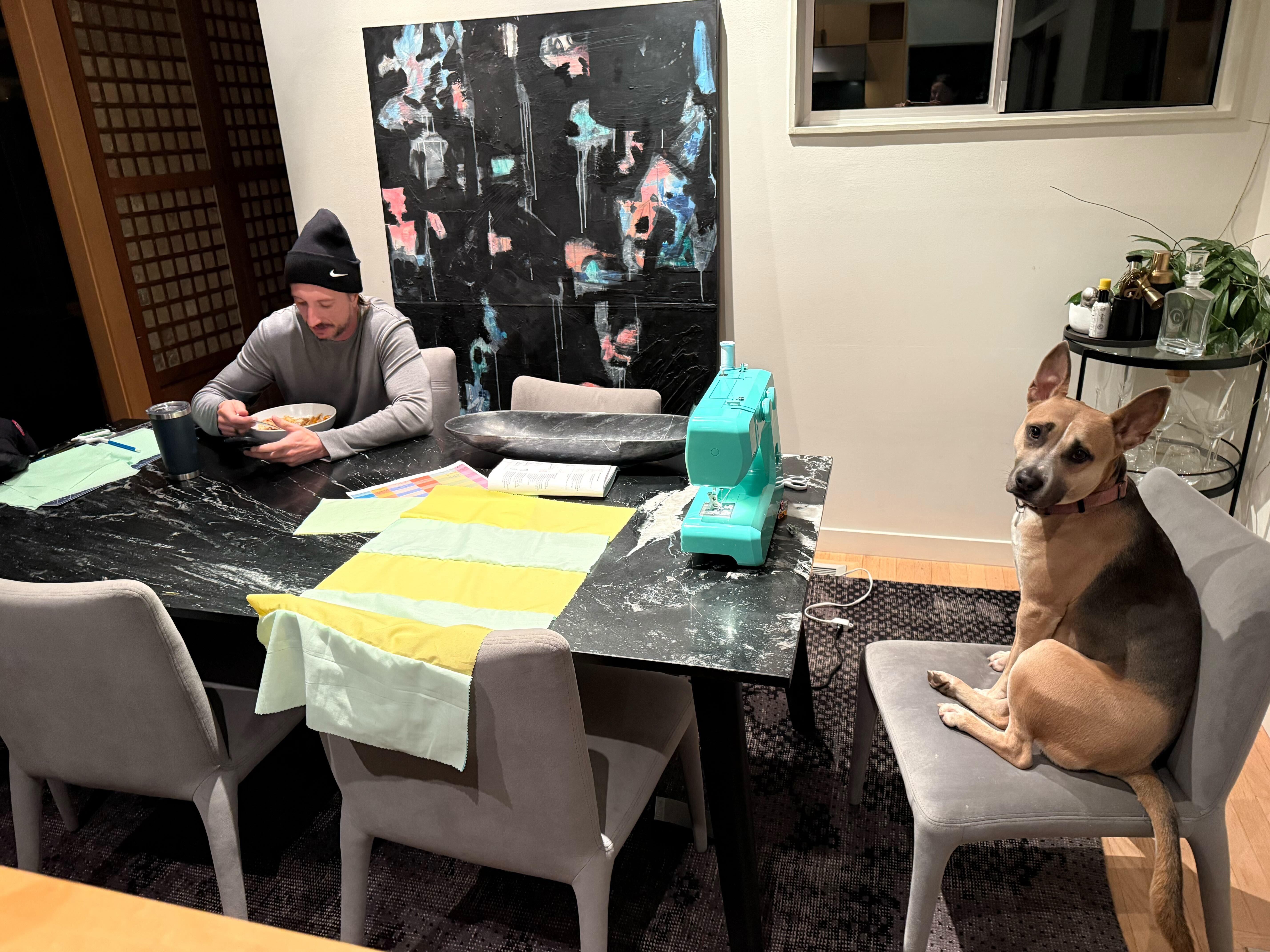 Enlarge Lacy, a Adoptable mixed breed in Seattle, WA image 4/6