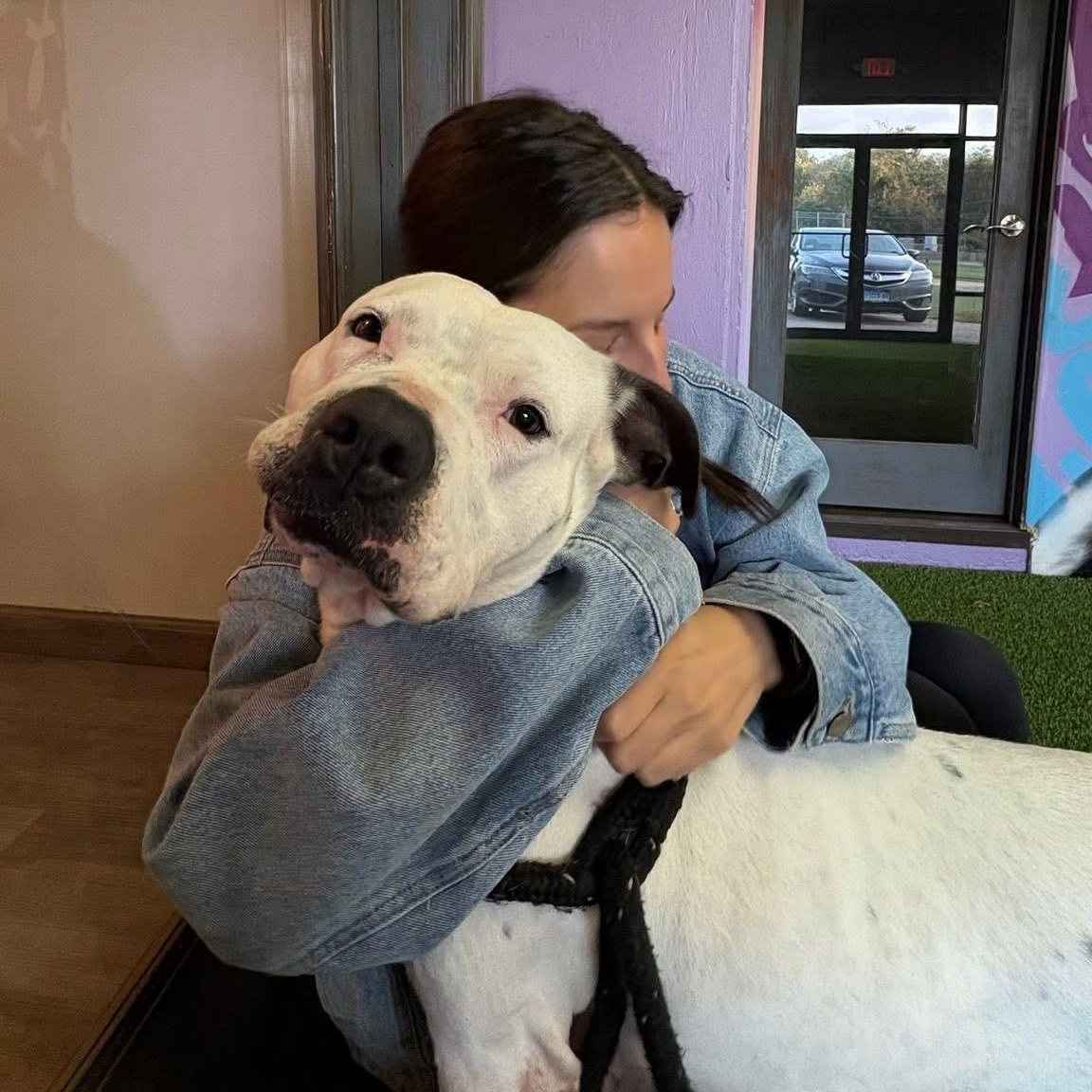 Enlarge Luna, an adopted mixed breed in Cumberland, RI image 4/6