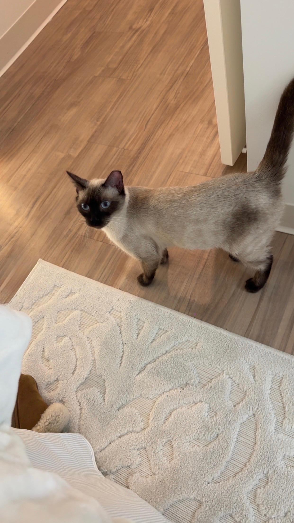 Habanero thumbnail 5