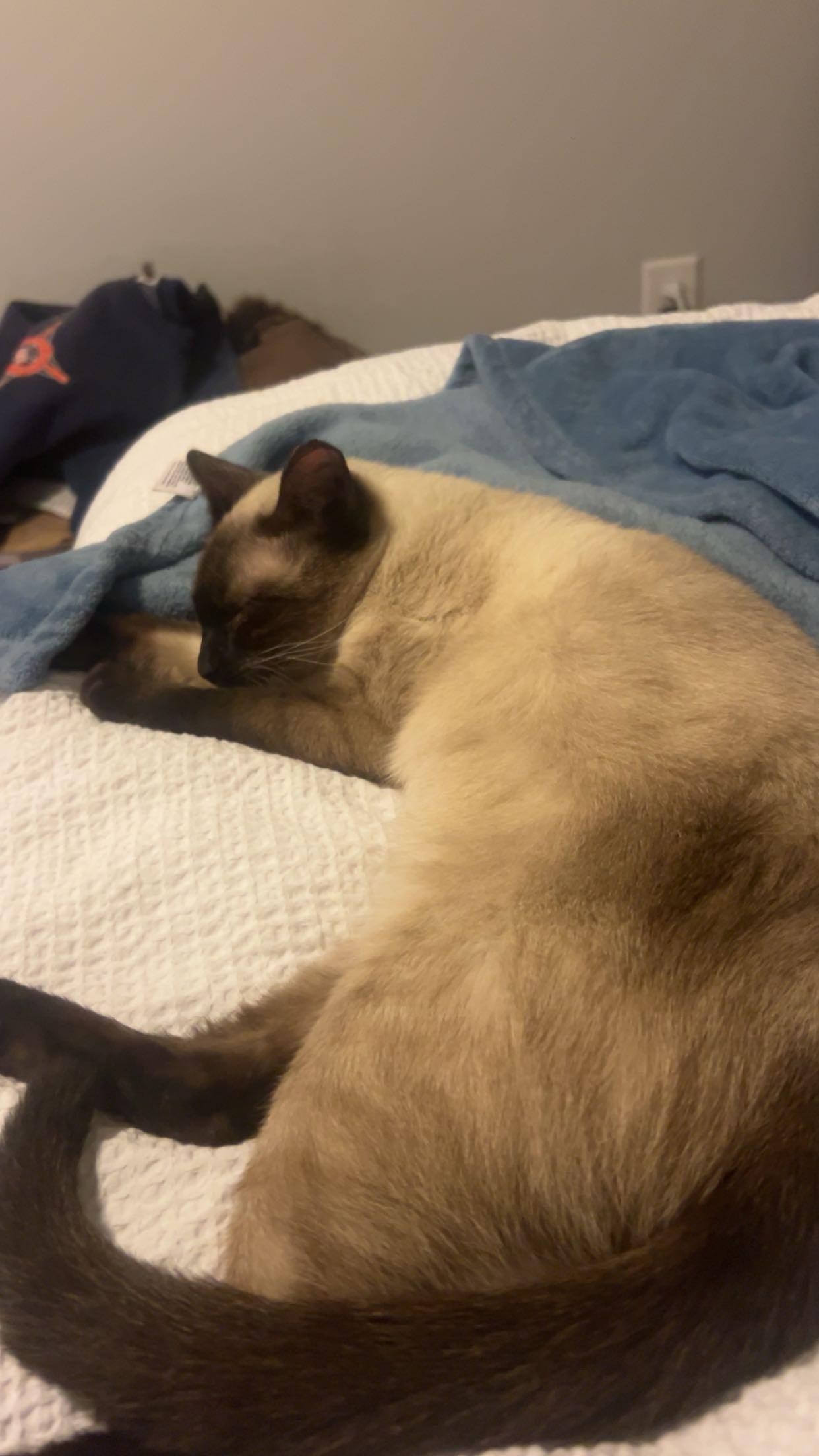 Habanero thumbnail 2