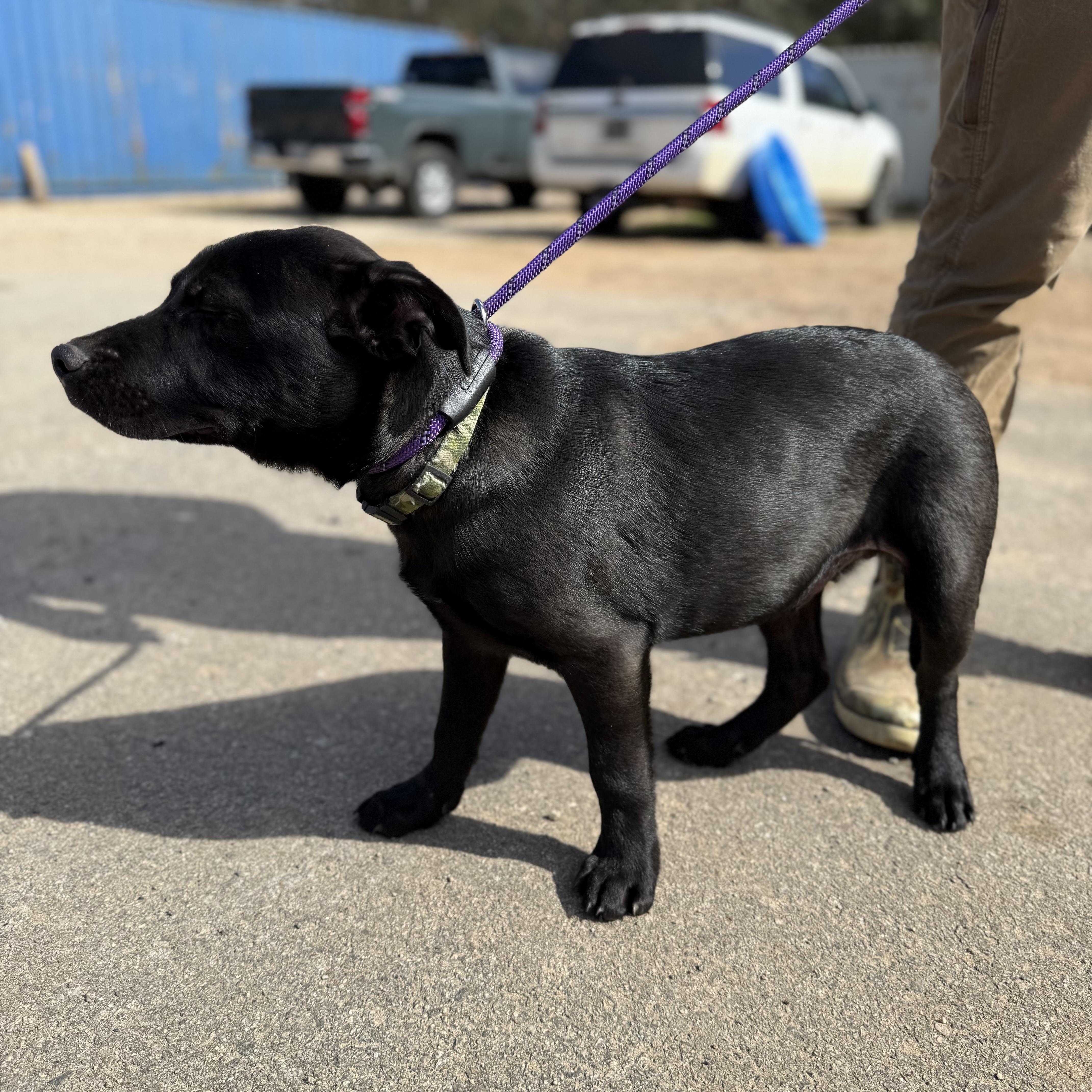 Bucket — thumbnail 2