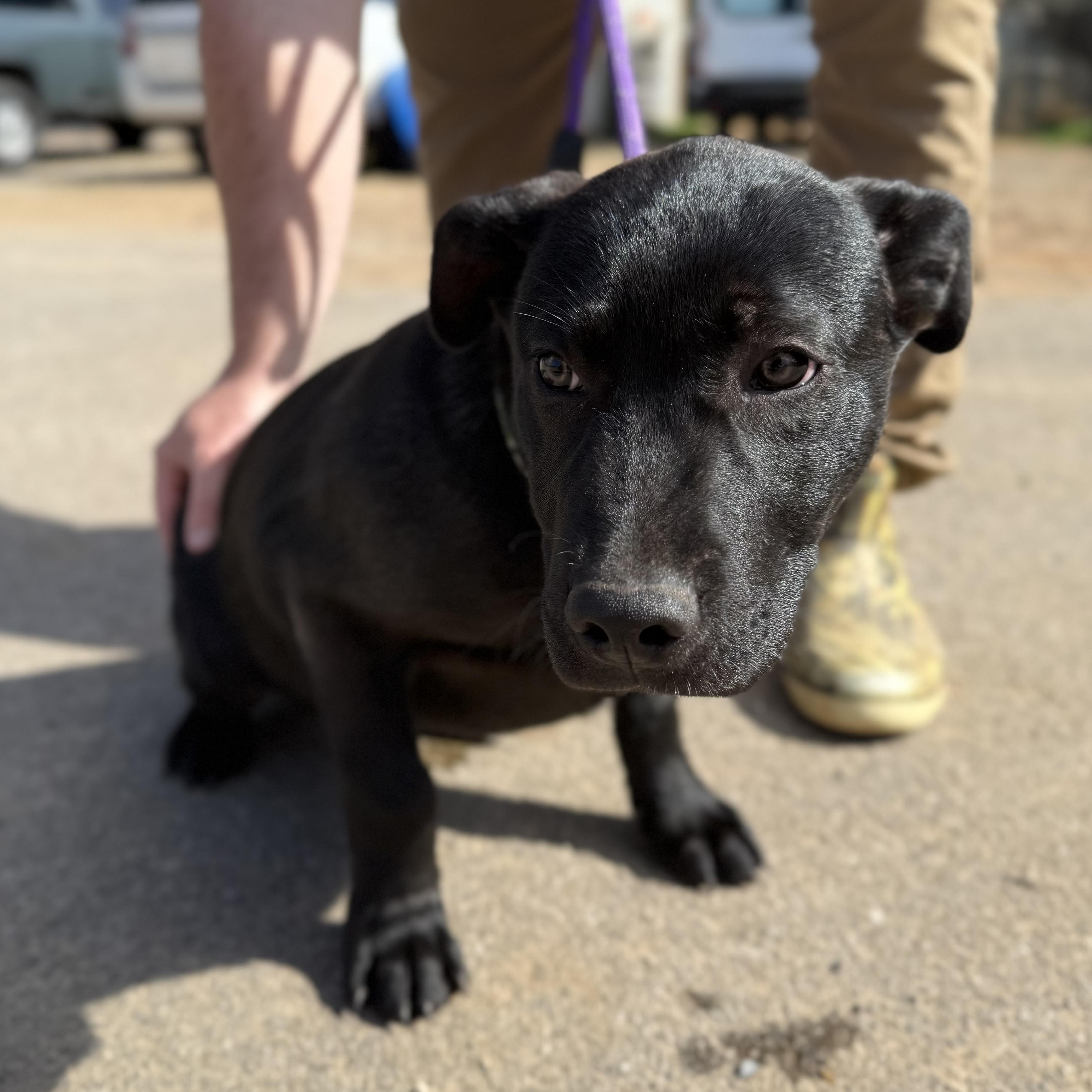 Bucket — thumbnail 6