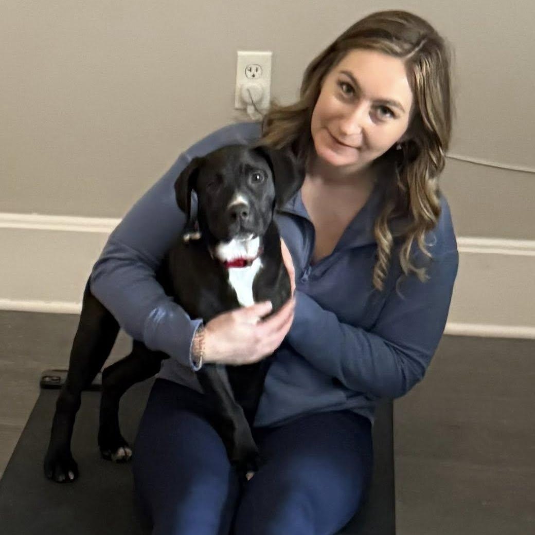 Enlarge Noelle, a Adoptable mixed breed in Lake Odessa, MI image 3/6