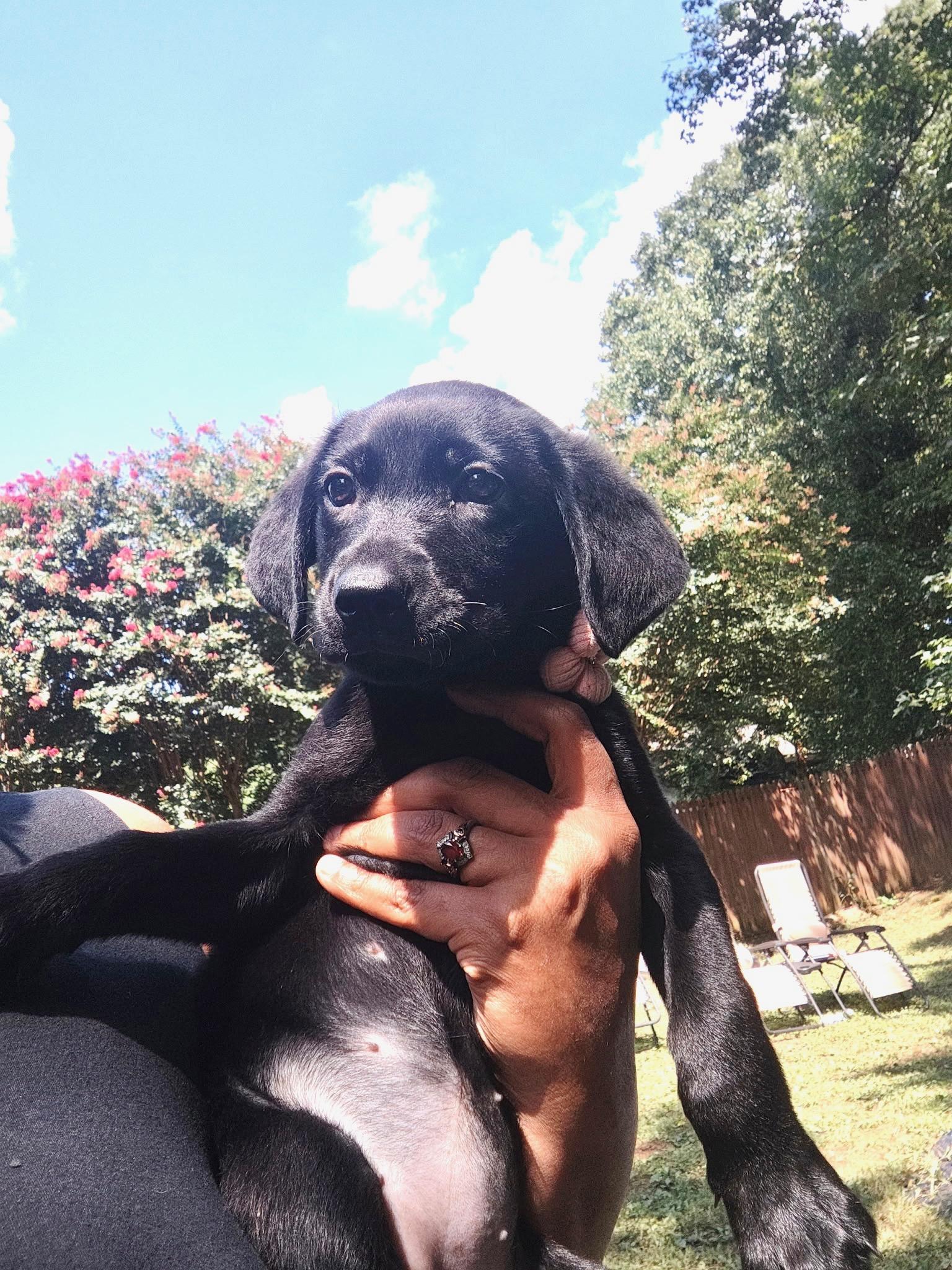 Nina