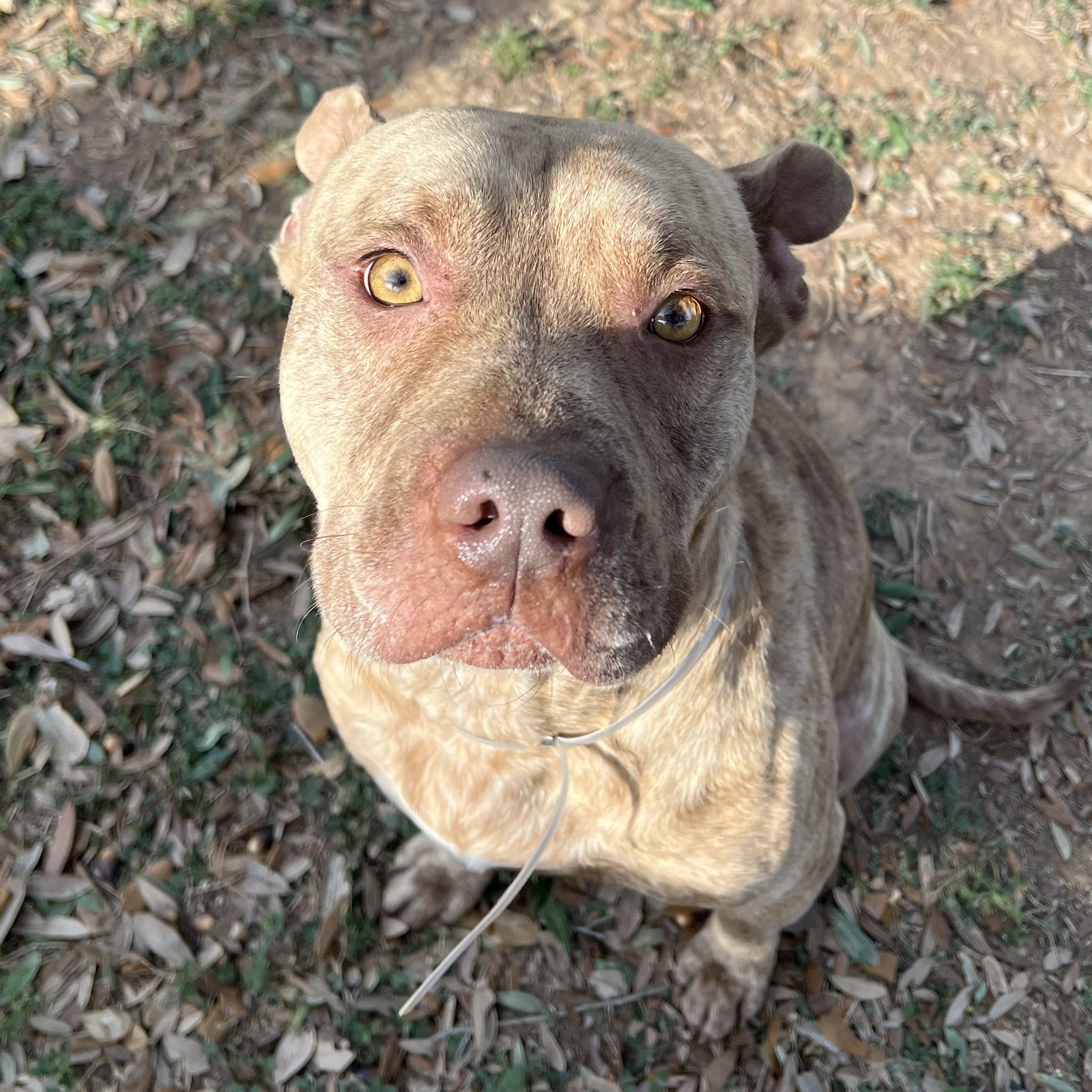 Jerry — thumbnail 3