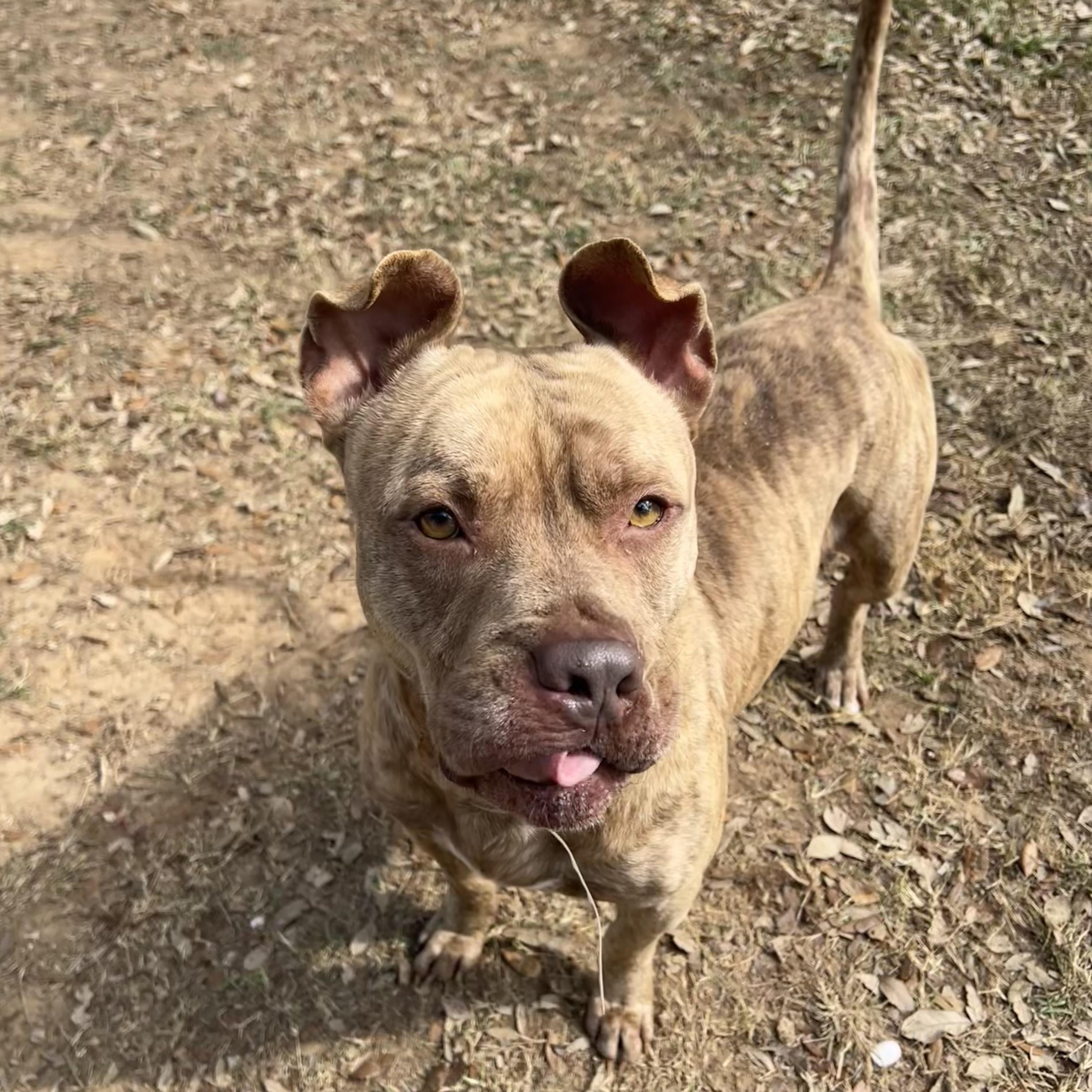 Jerry — thumbnail 5