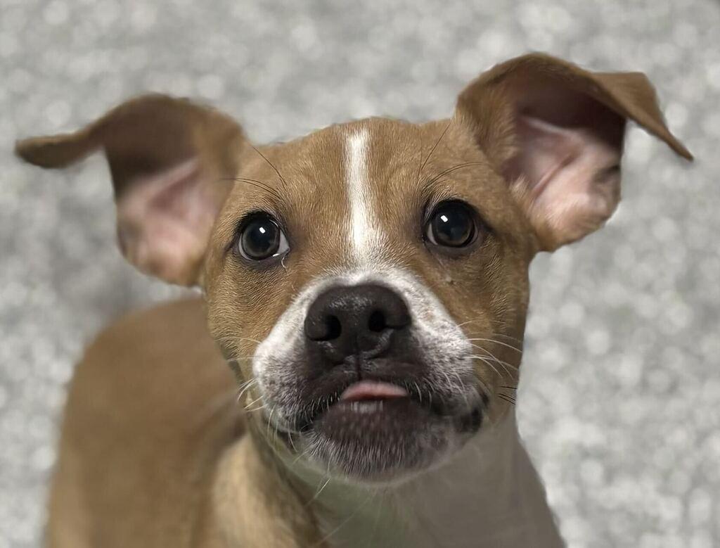 Spike photo