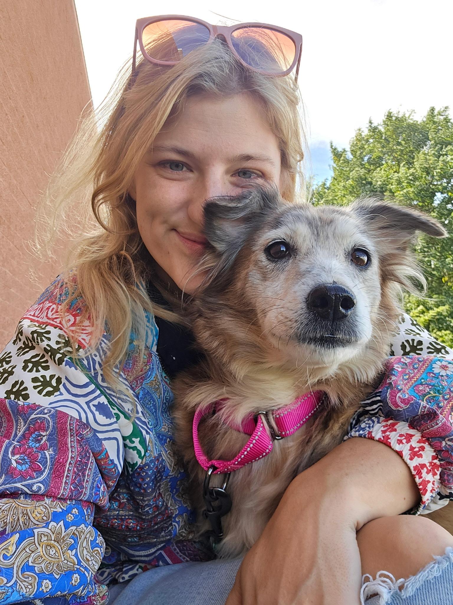 Race Track, Adopted, Senior Female Collie & Shepherd.