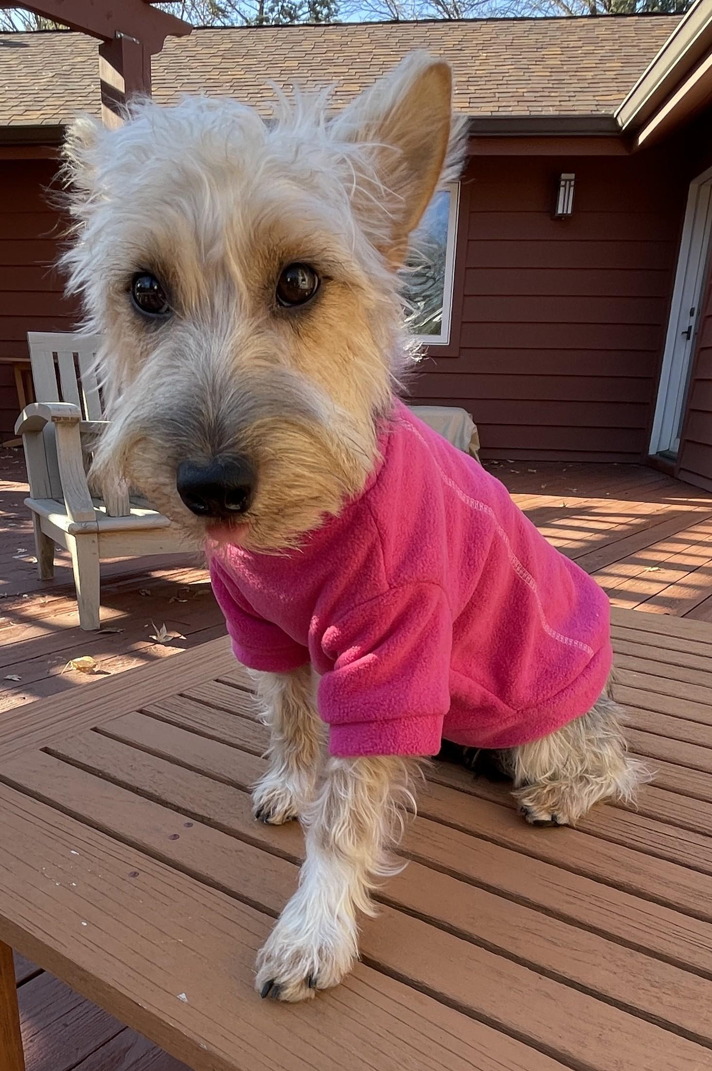 Katharine Hepburn thumbnail 6