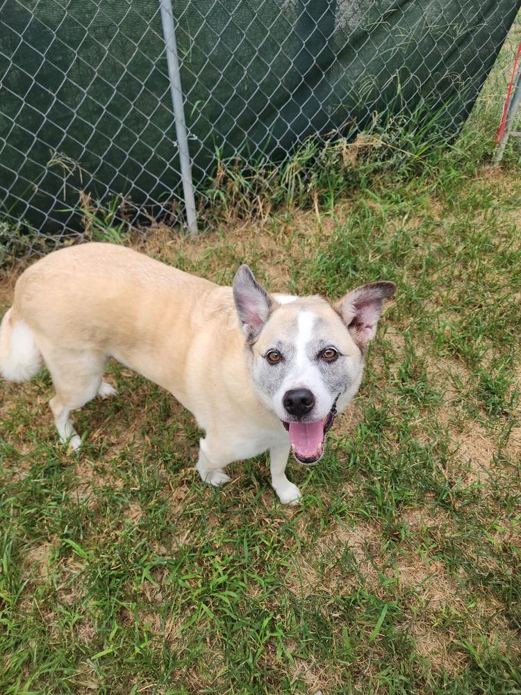 Pretty Ricky — thumbnail 2