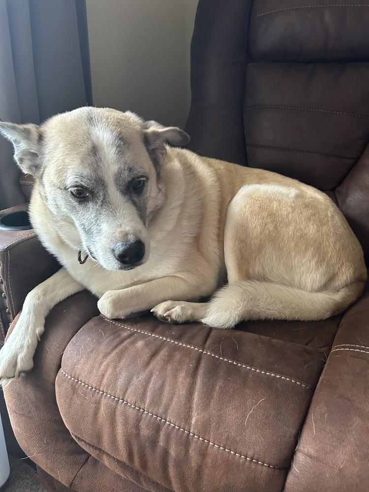 Pretty Ricky — thumbnail 3