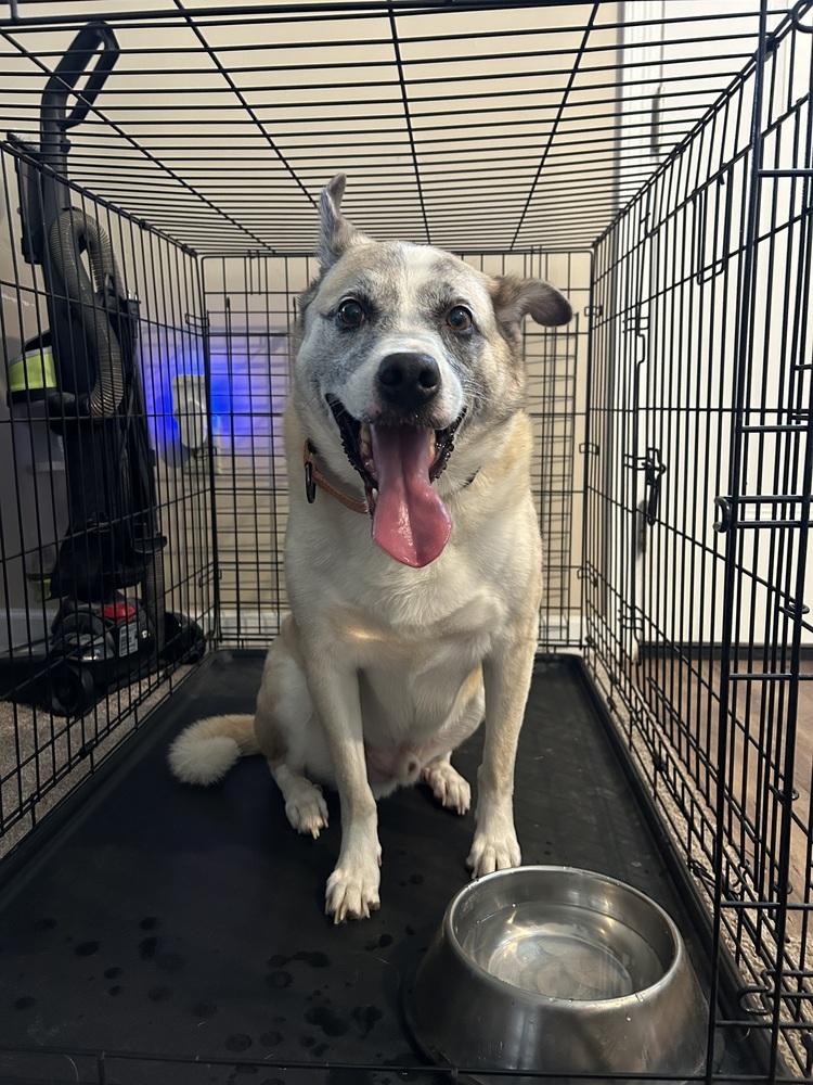 Pretty Ricky — thumbnail 4