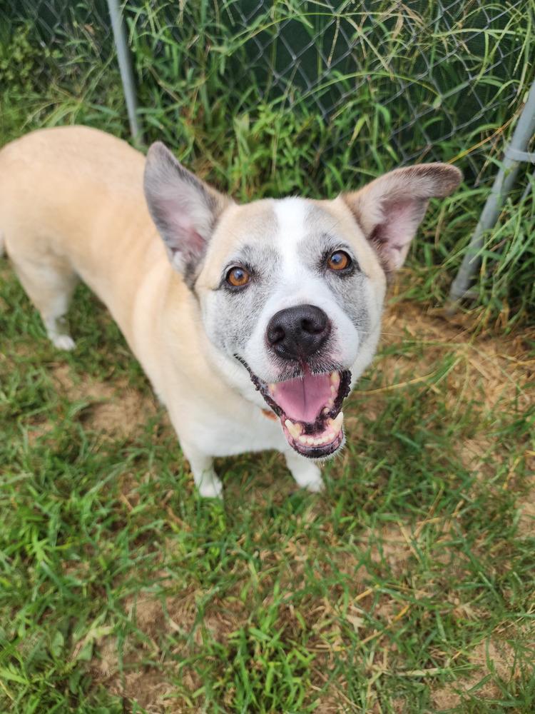 Pretty Ricky — thumbnail 5