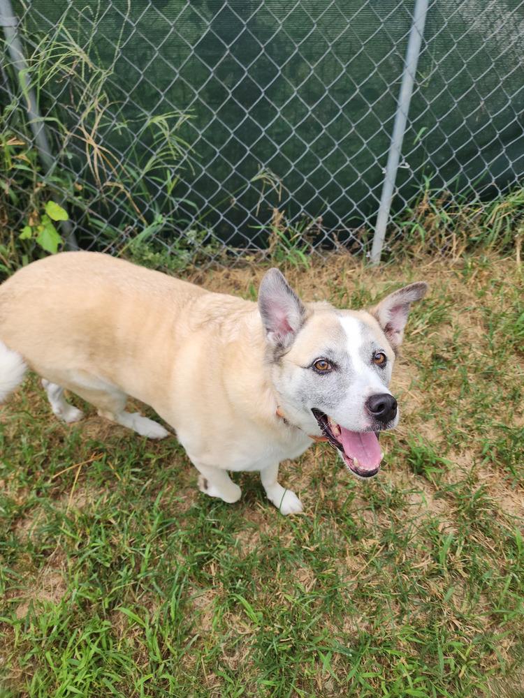 Pretty Ricky — thumbnail 6