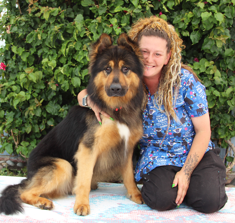 Enlarge Montana von Schrader, a Adoptable German Shepherd Dog in Los Angeles, CA image 2/6