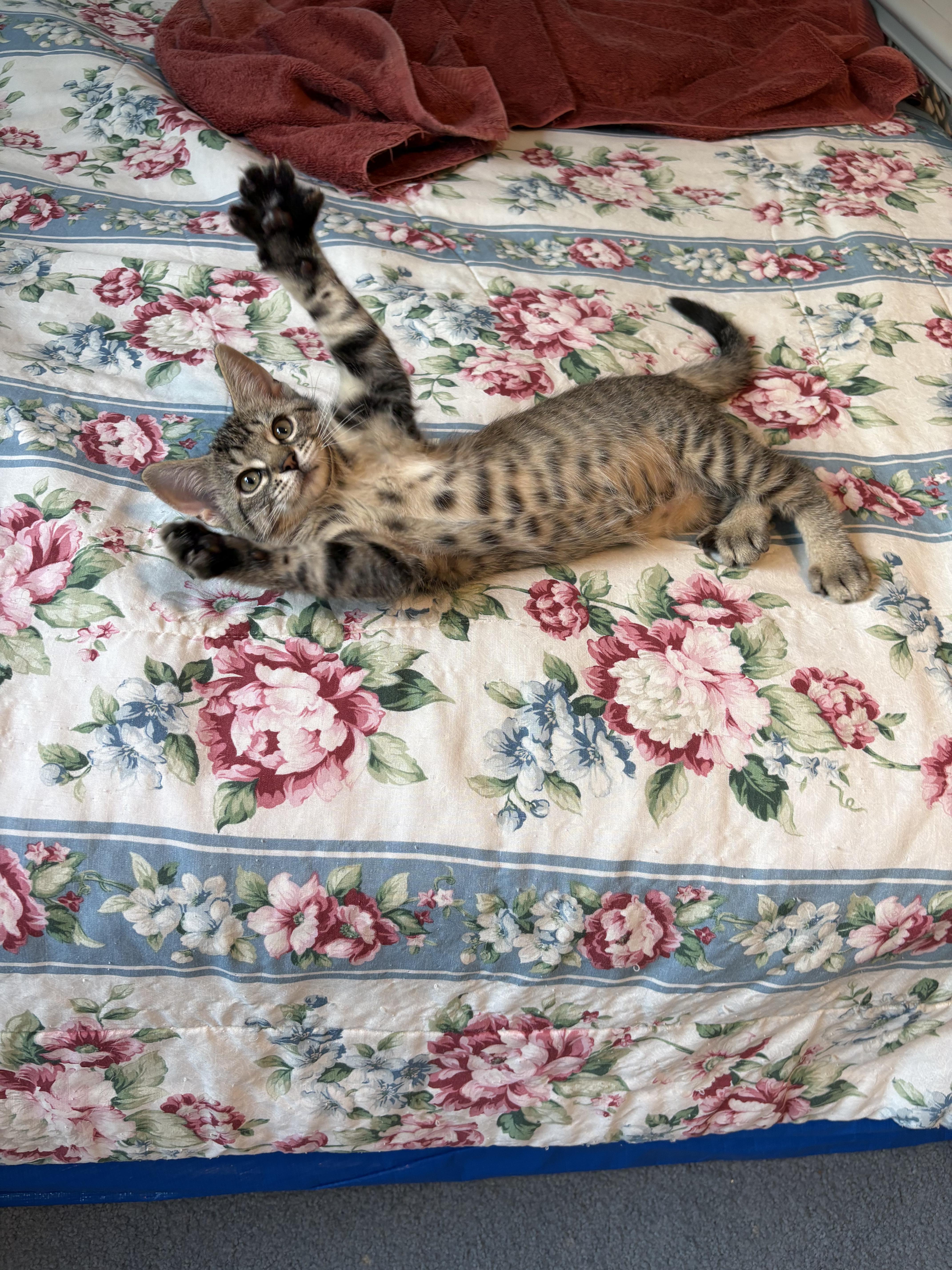 Flora Jane
