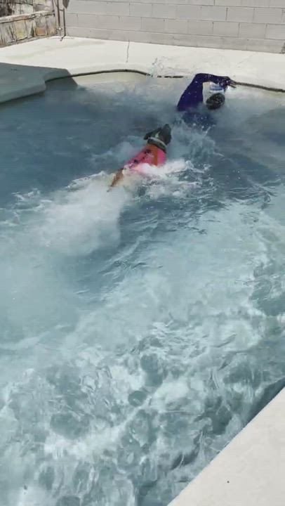 Enlarge Floki, a Adopted American Bulldog in Las Vegas, NV video 6/11