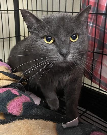 Spice — thumbnail 2