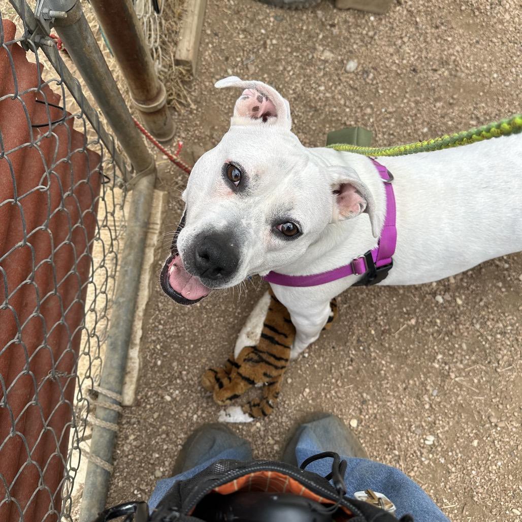 Angie — thumbnail 3