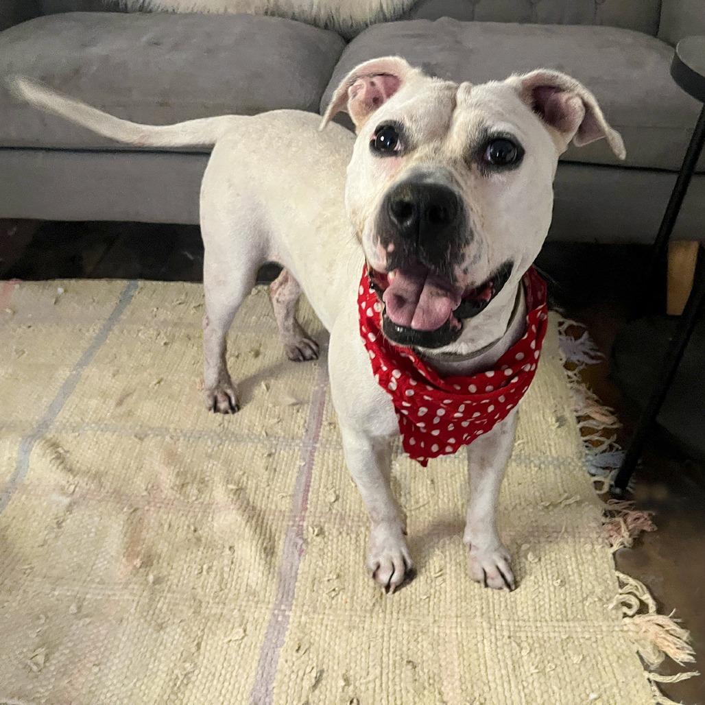 Angie — thumbnail 4