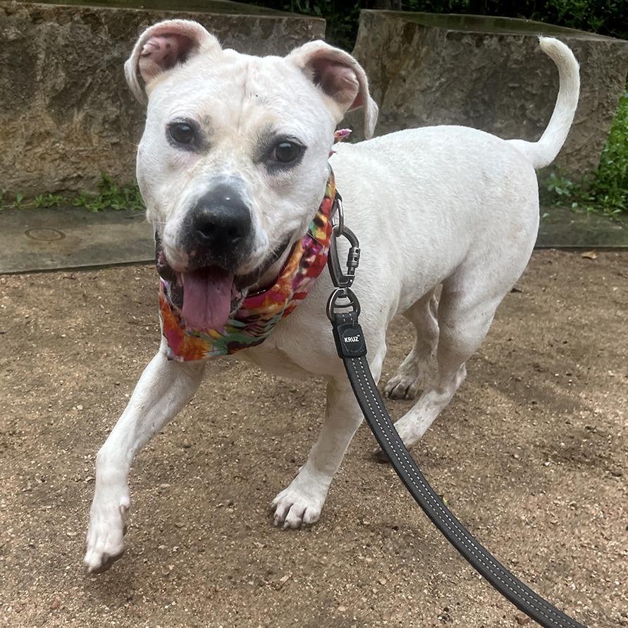 Angie — thumbnail 5