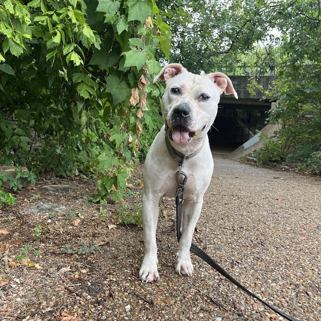 Angie — thumbnail 6