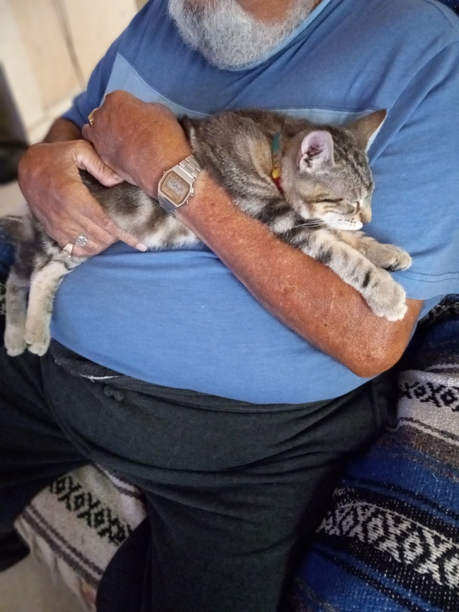 Enlarge Kiba and Juni, sister and brother, a Adoptable mixed breed in Mission Viejo, CA image 5/5