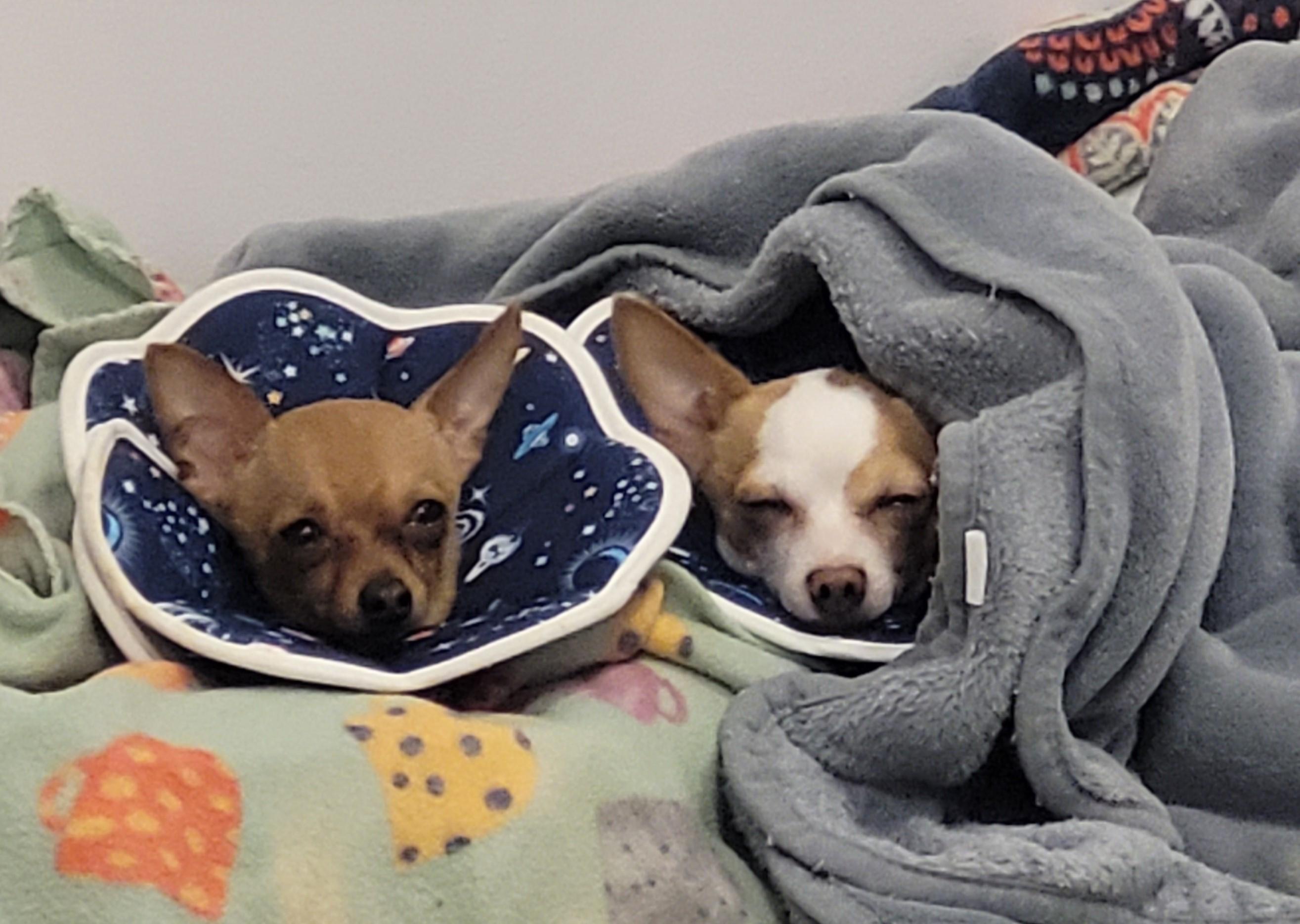 Newman — thumbnail 2