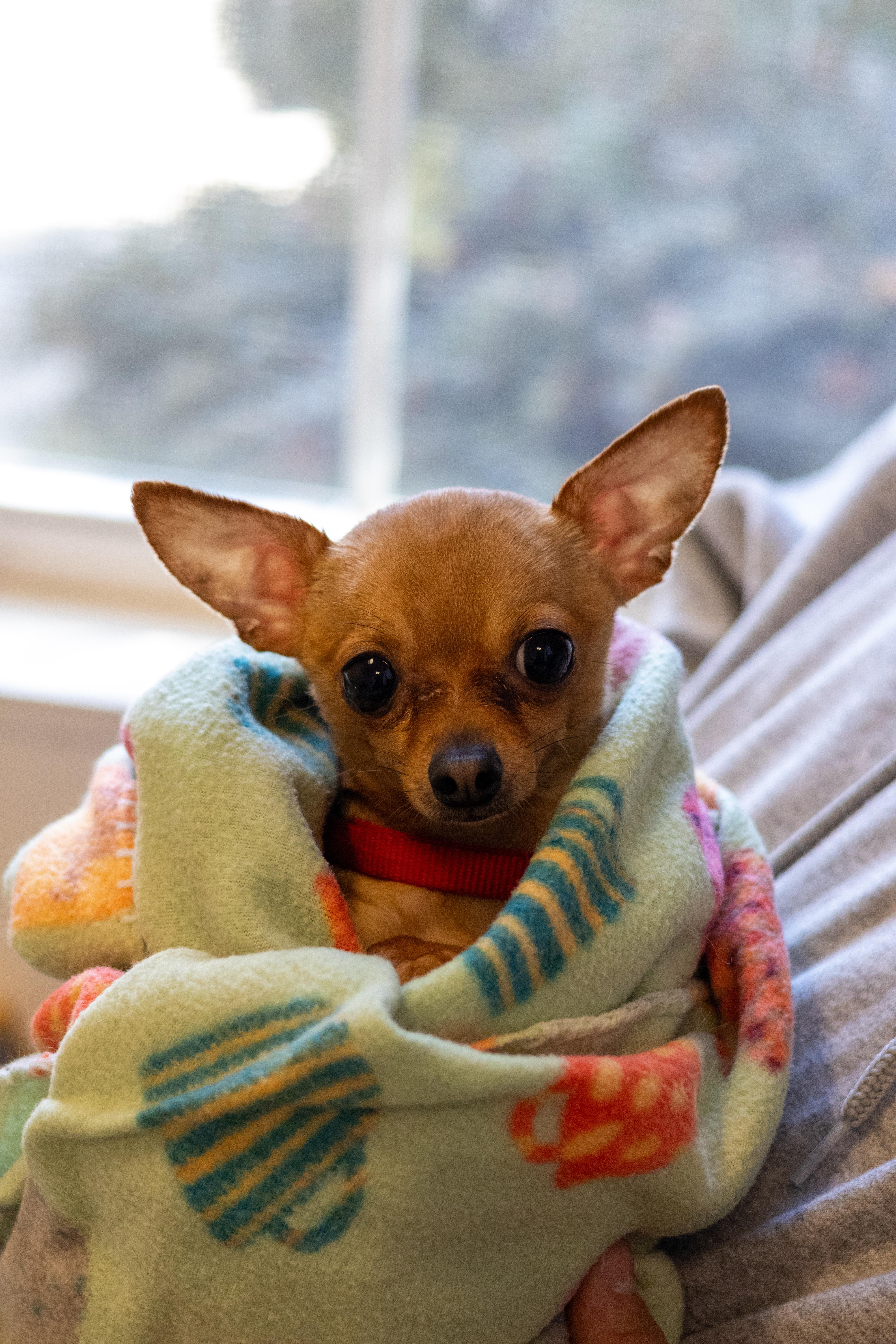 Newman — thumbnail 3