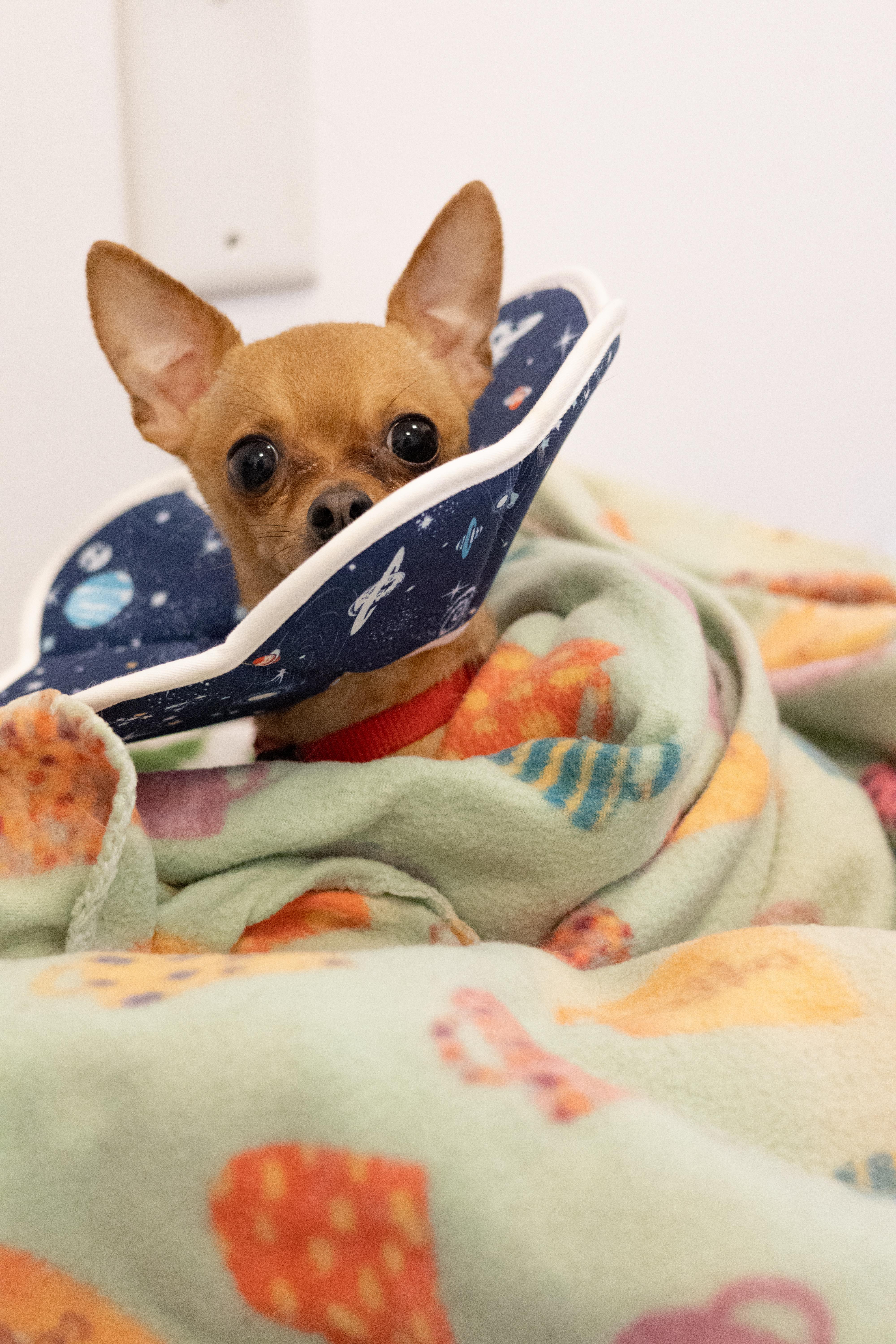 Newman — thumbnail 4