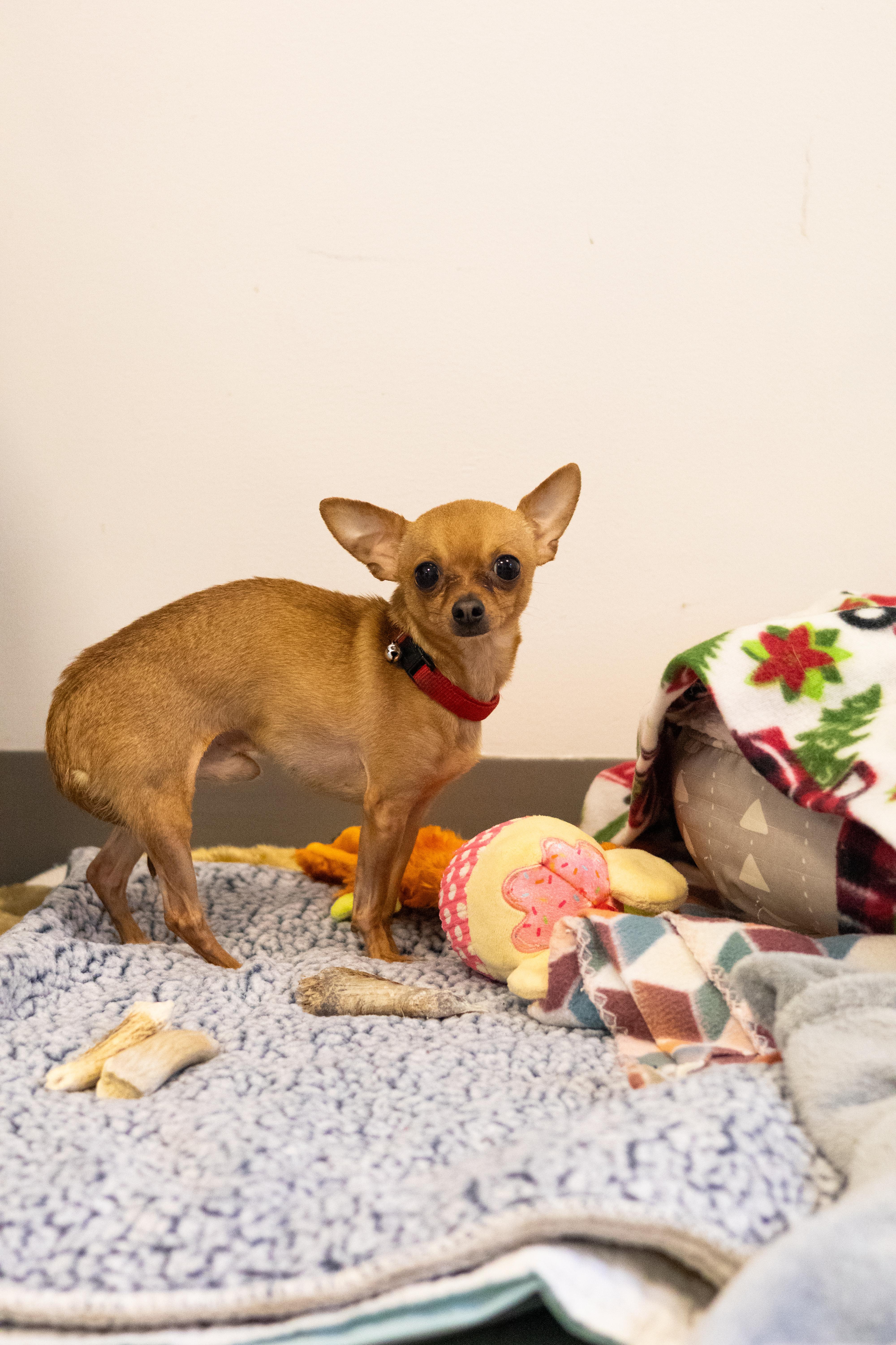 Newman — thumbnail 5