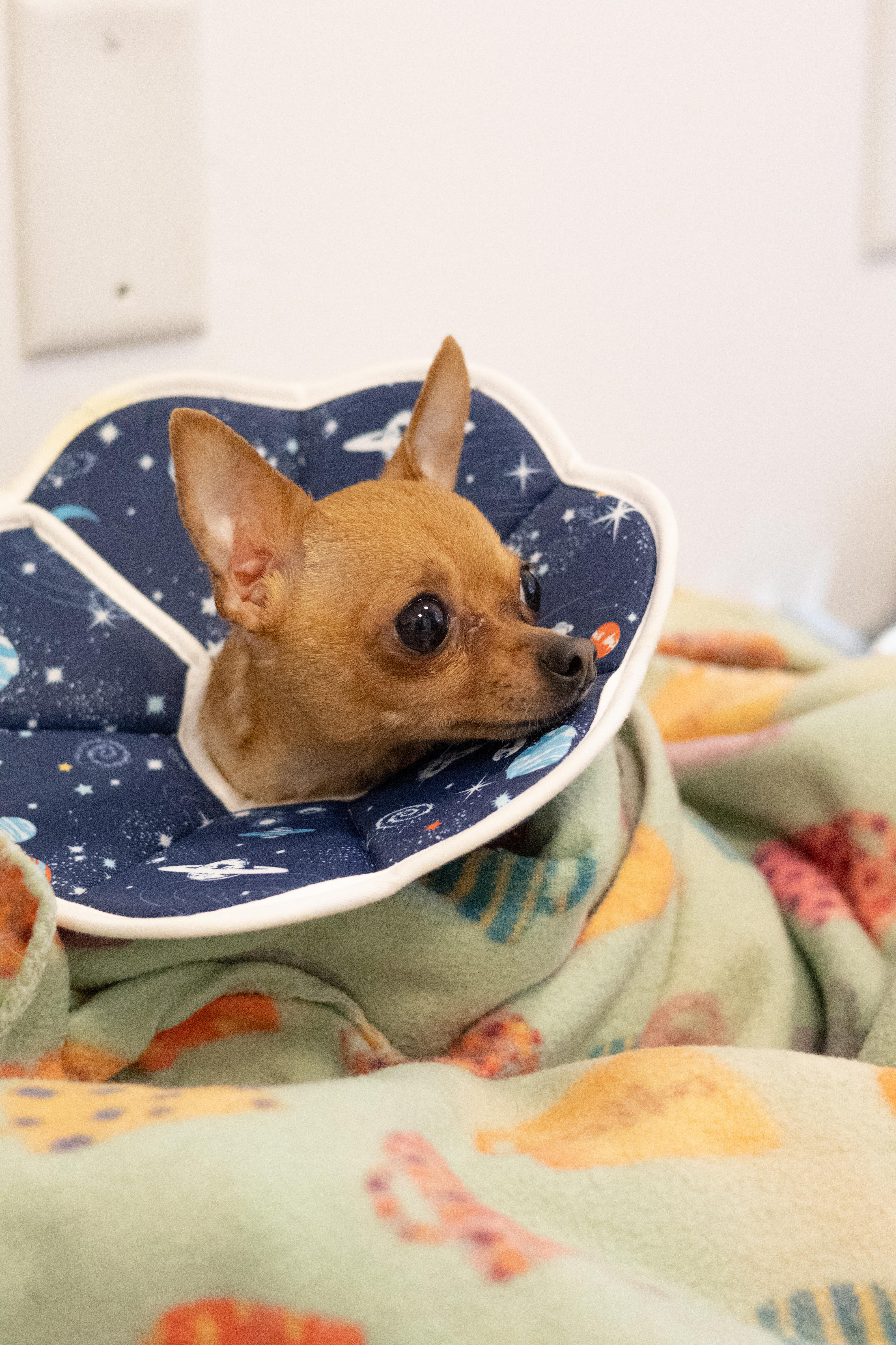 Newman — thumbnail 6