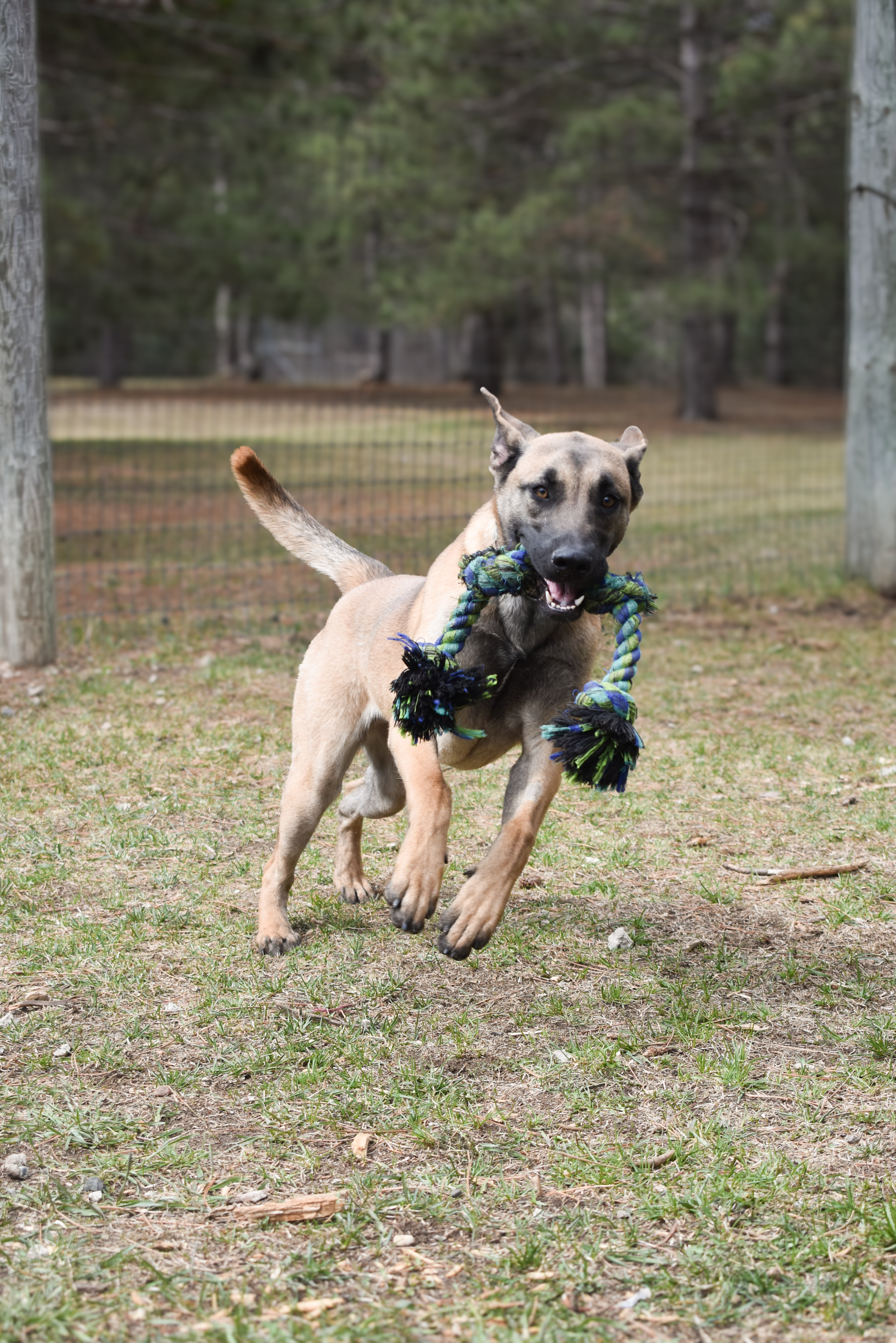 Savannah