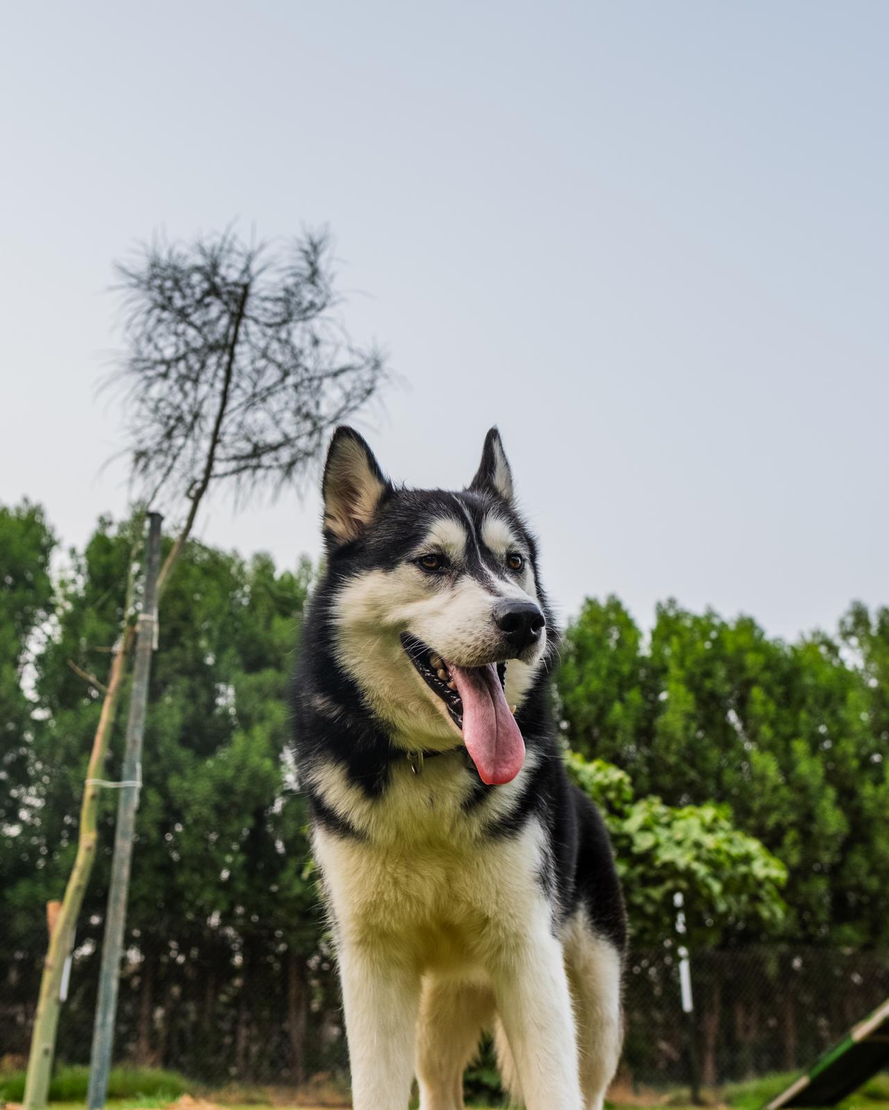 Nowe (pronounced NO-WE)