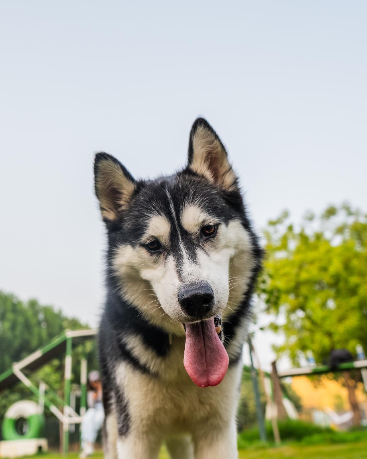 Nowe (pronounced NO-WE)