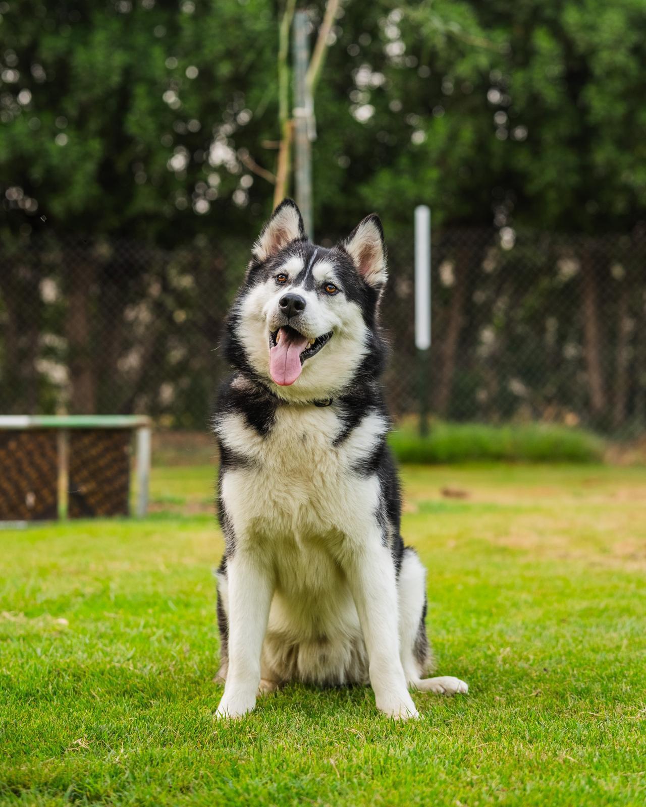 Nowe (pronounced NO-WE)