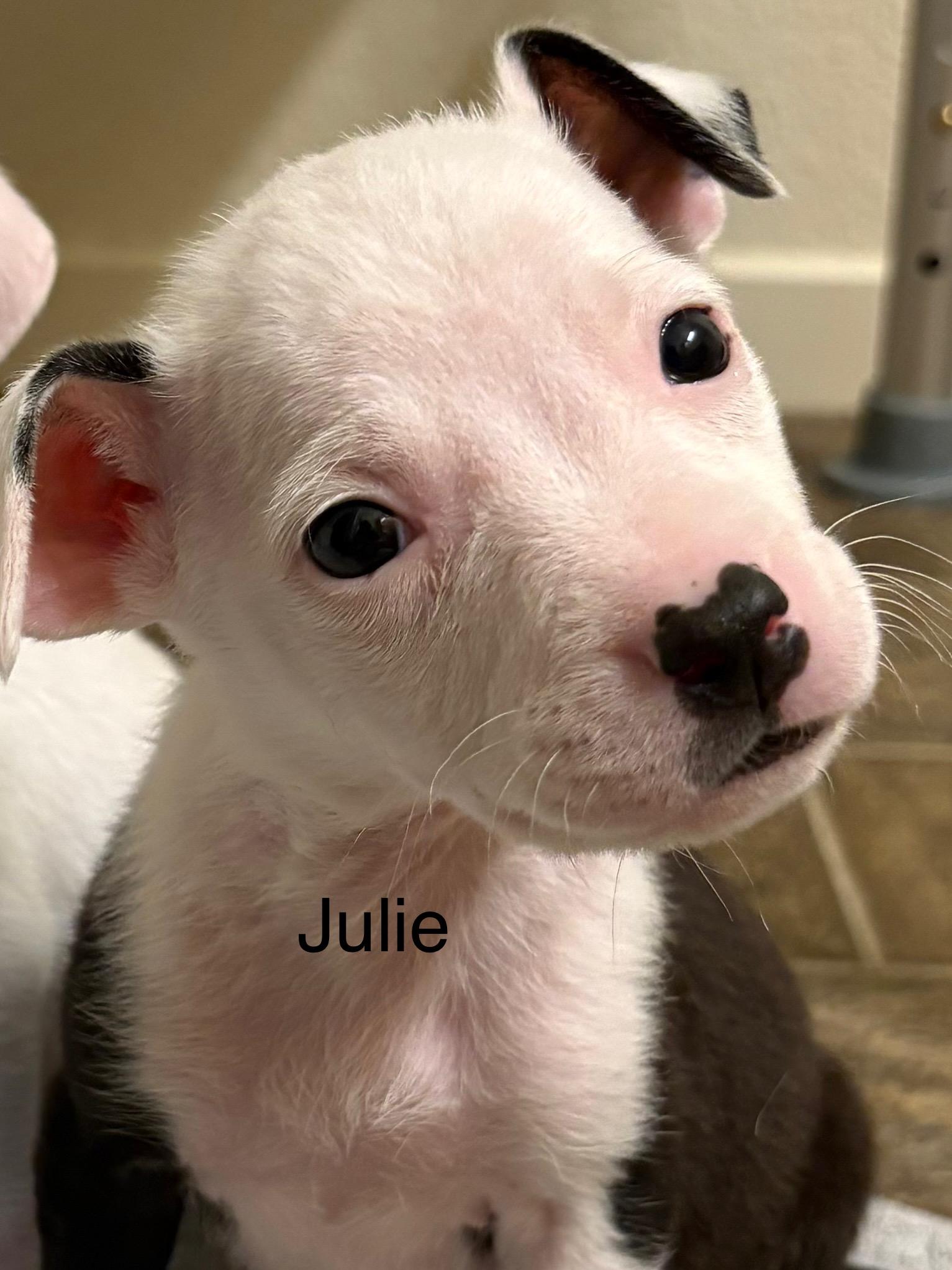 Julie