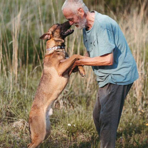 Enlarge Ferris, a Adoptable mixed breed in Duart, ON image 3/6