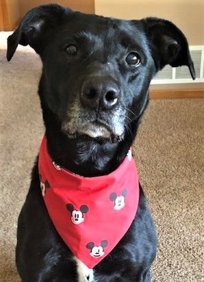 Micki -good girl!