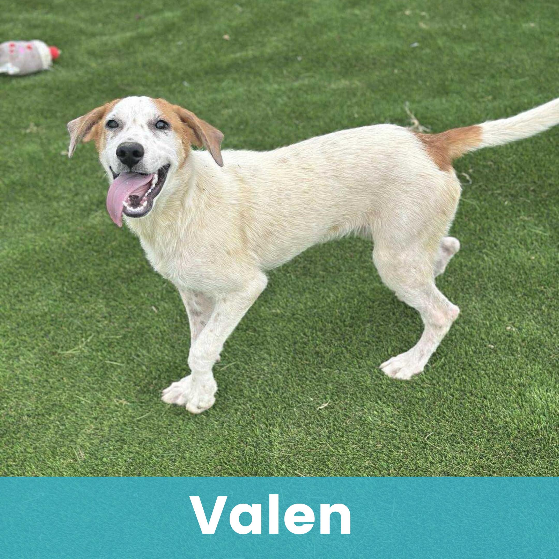 Valen